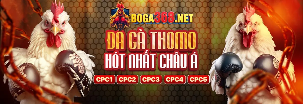Sân vận động thể thao sôi động tại rr996